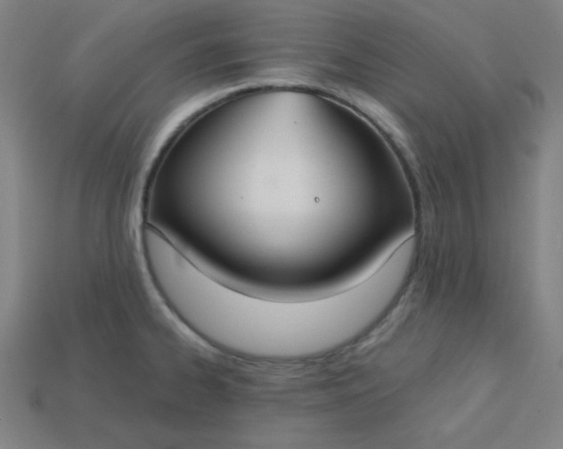 X0000113181334200909181845