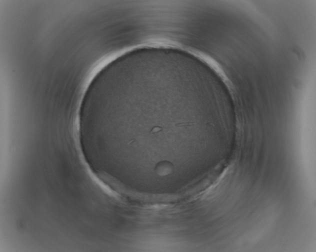 X0000113181335200909181845