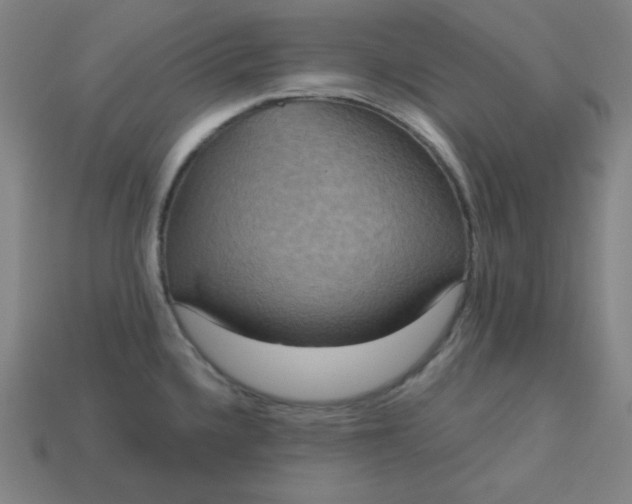 X0000113181336200909181845