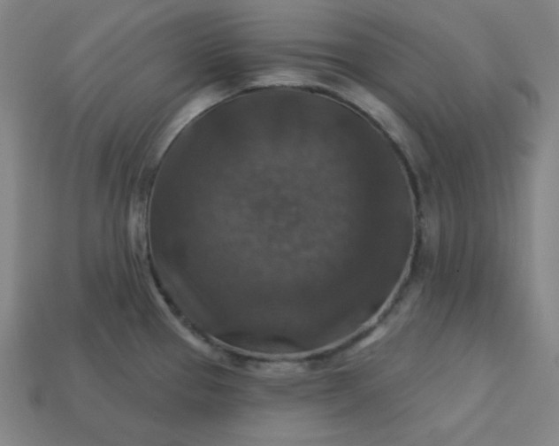 X0000113181337200909181845