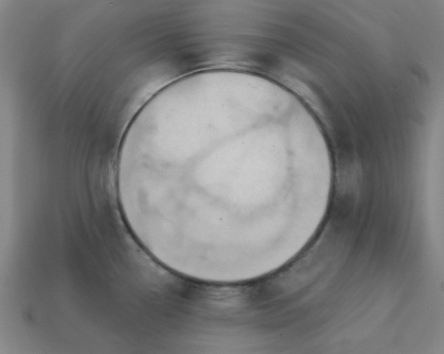 X0000113181338200909181845