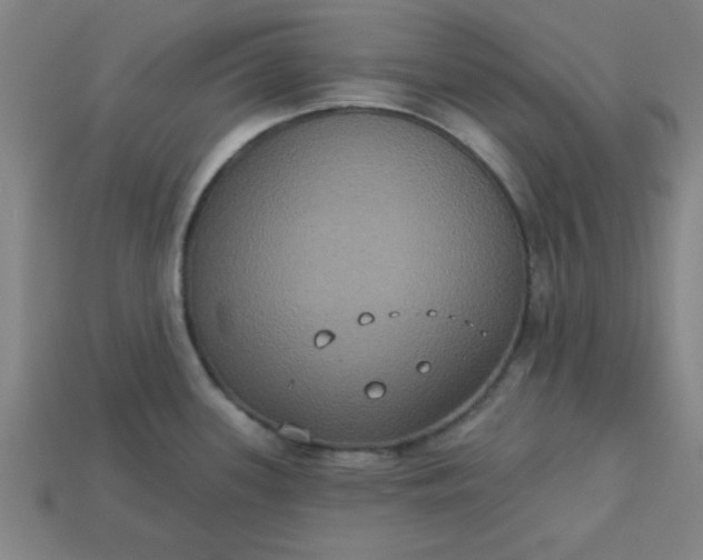 X0000113181339200909181845