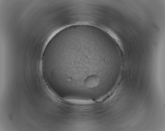 X0000113181340200909181845