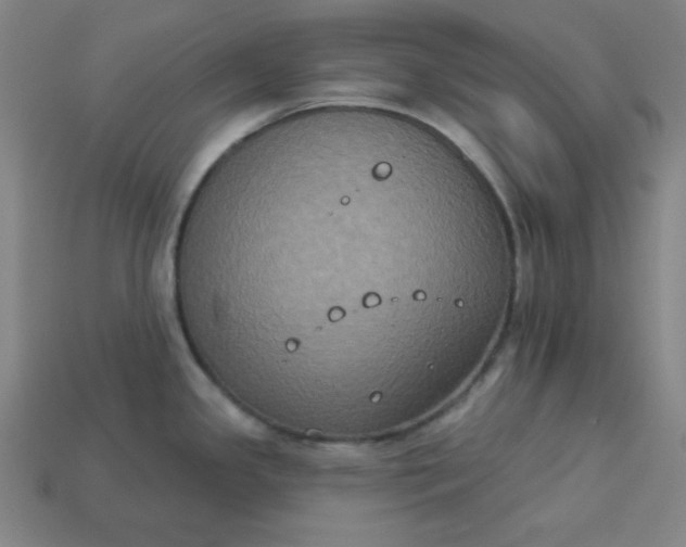 X0000113181341200909181845