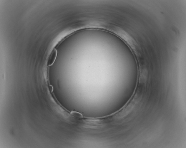 X0000113181342200909181845