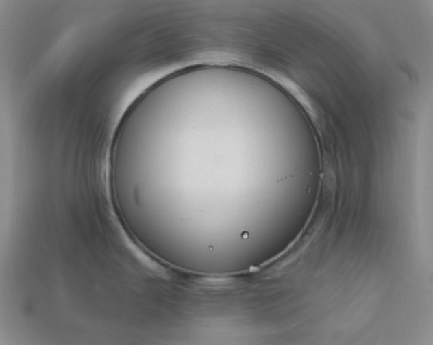 X0000113181343200909181845