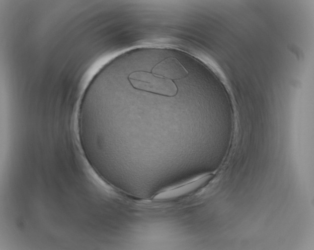 X0000113181344200909181845