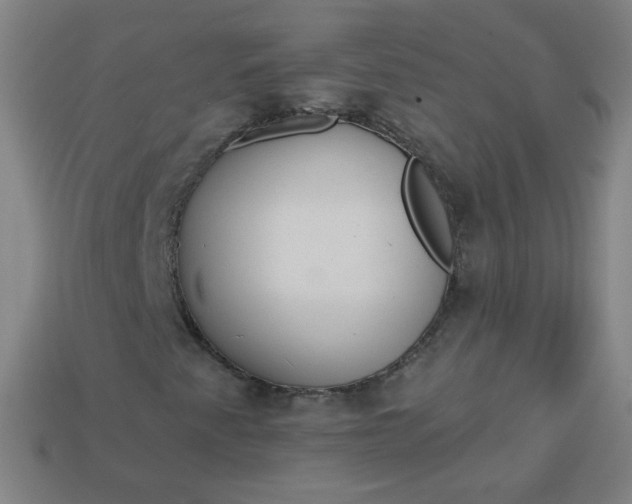 X0000113181345200909181845