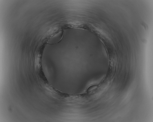 X0000113181346200909181845