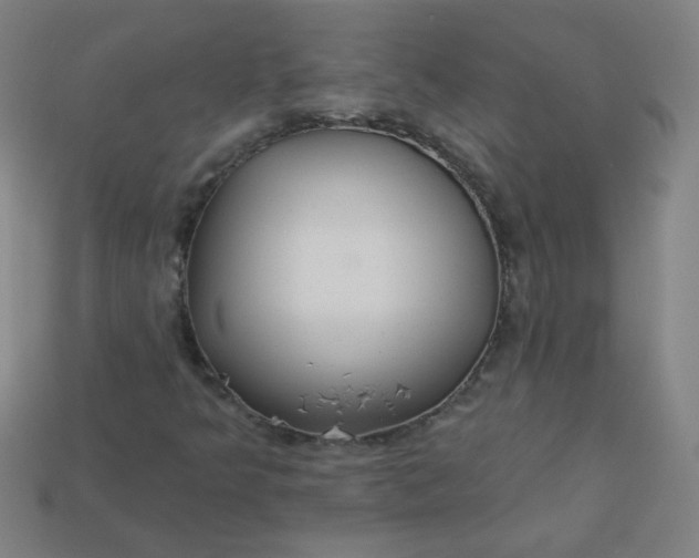 X0000113181349200909181845