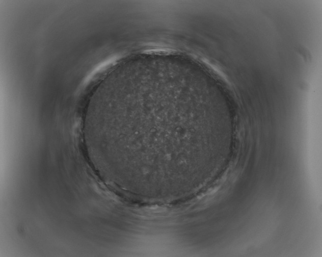 X0000113181351200909181845