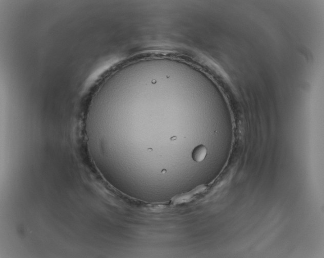 X0000113181352200909181845