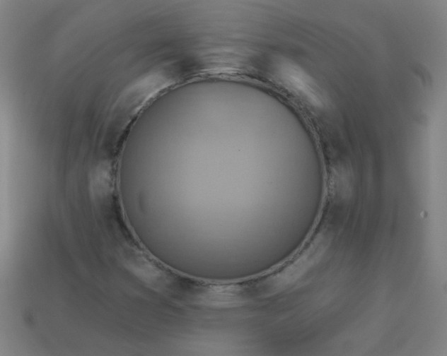 X0000113181353200909181845