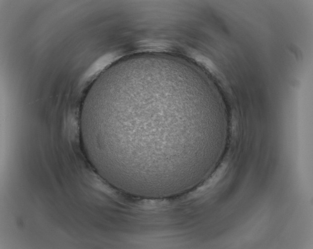 X0000113181354200909181844