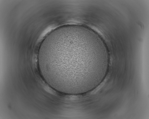 X0000113181355200909181844