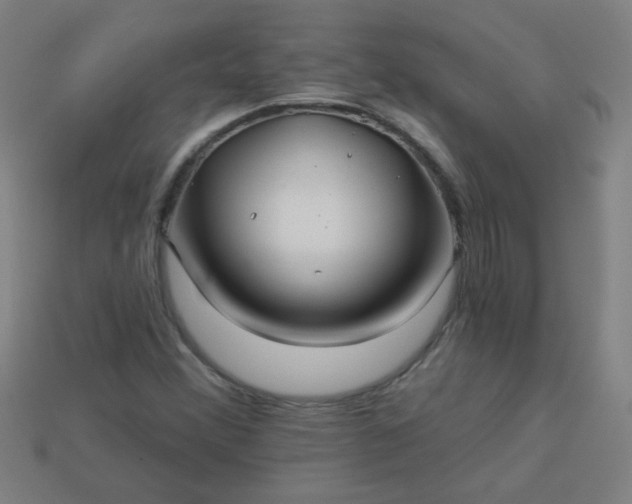 X0000113181356200909181844