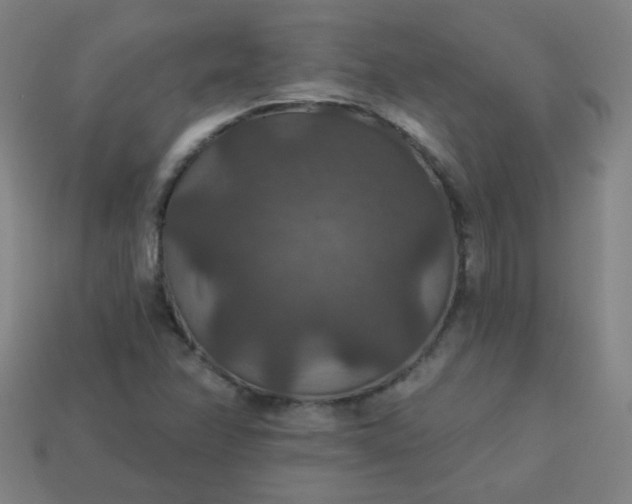 X0000113181358200909181844