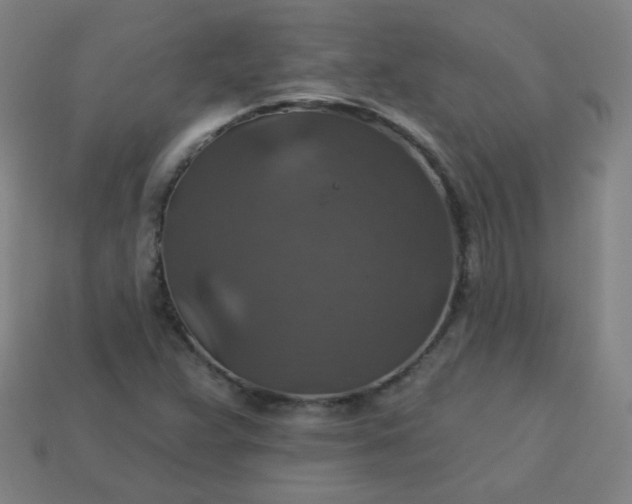 X0000113181359200909181844