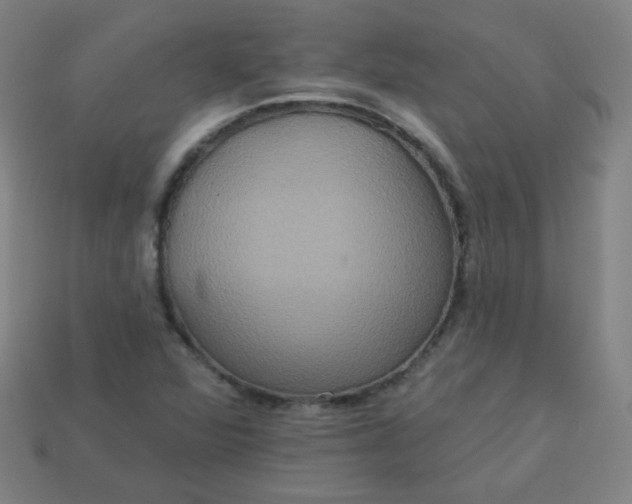 X0000113181360200909181844