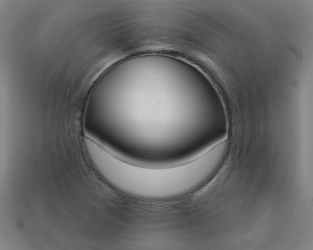 X0000113181361200909181844