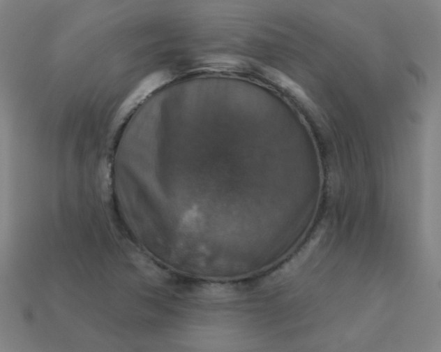 X0000113181362200909181844