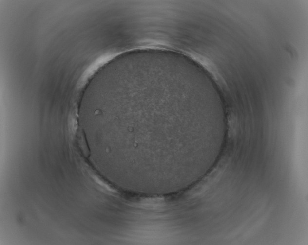 X0000113181363200909181844