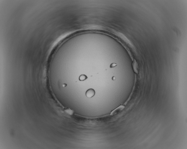 X0000113181364200909181844