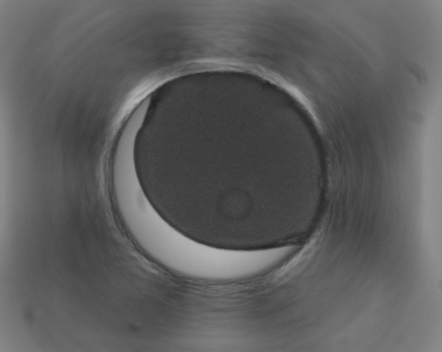 X0000113181365200909181844