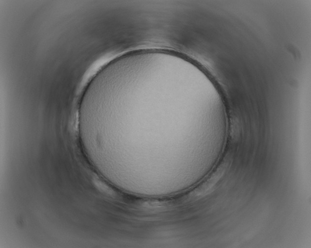 X0000113181366200909181844