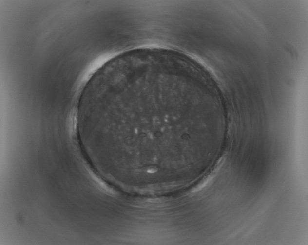 X0000113181367200909181844