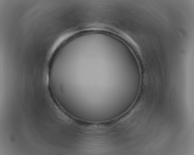 X0000113181368200909181844