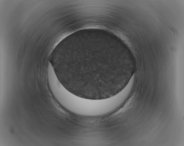 X0000113181369200909181844