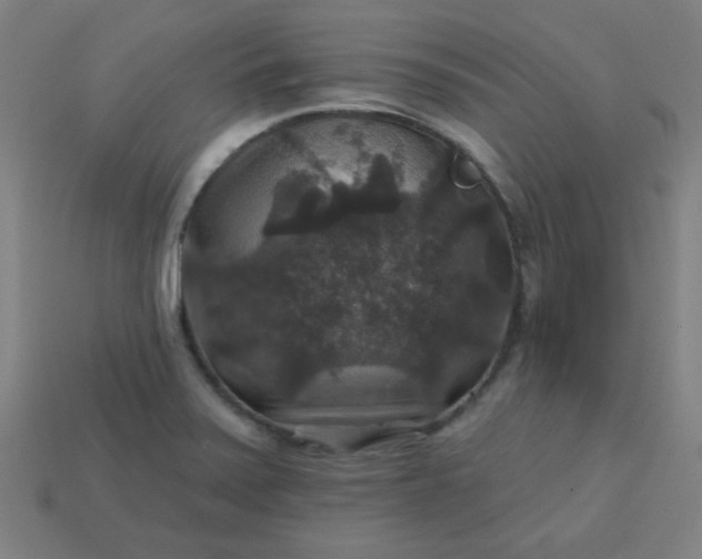 X0000113181371200909181844