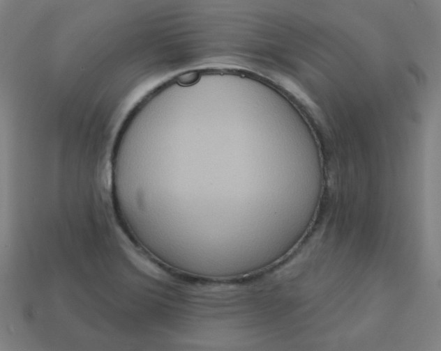 X0000113181372200909181844