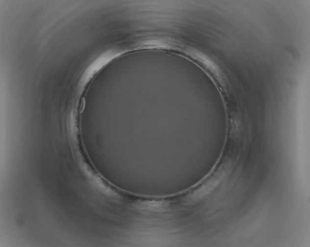 X0000113181373200909181844