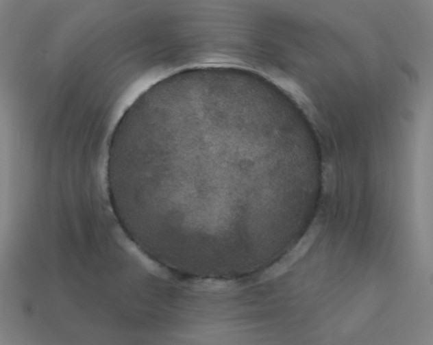 X0000113181374200909181844