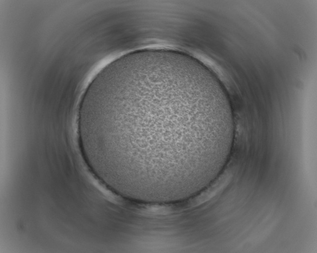 X0000113181375200909181844