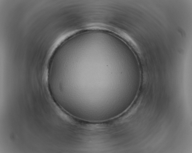 X0000113181376200909181844