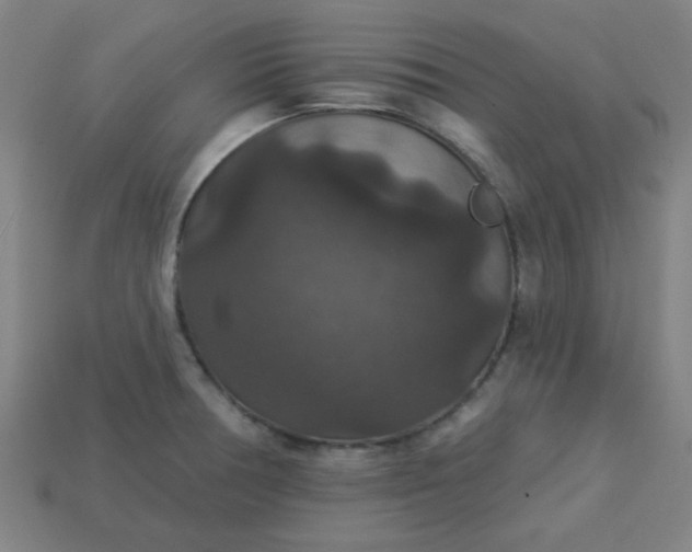 X0000113181378200909181844