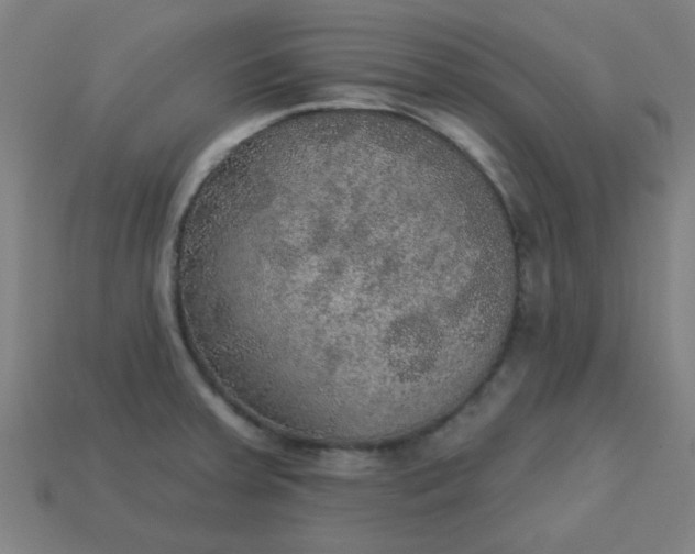 X0000113181379200909181844