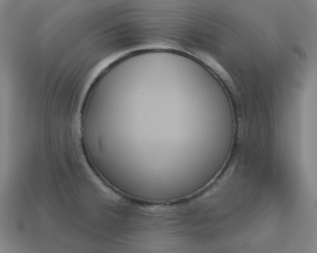 X0000113181380200909181844