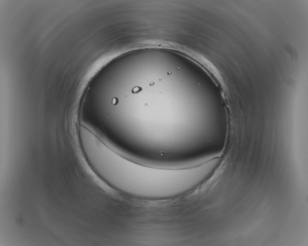 X0000113181381200909181844