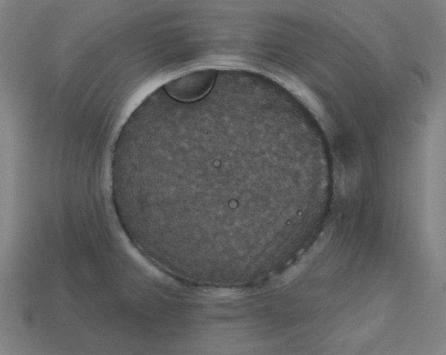 X0000113181382200909181844