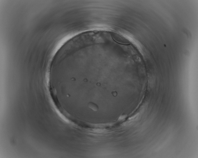 X0000113181383200909181844