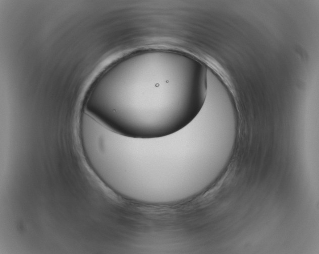 X0000113181384200909181844