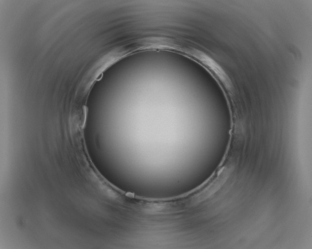 X0000113181385200909181844