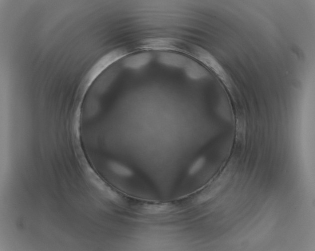 X0000113181386200909181844