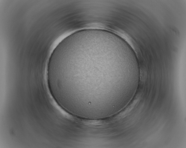 X0000113181387200909181844