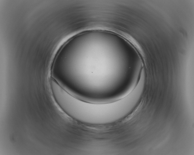 X0000113181388200909181844