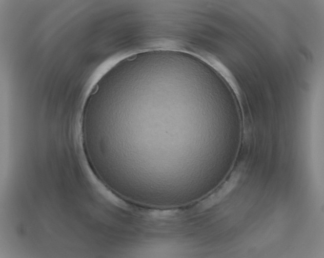 X0000113181389200909181844